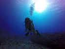 Hawaii Scuba divng 30