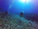 Hawaii Scuba divng 31