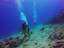 Hawaii Scuba divng 32