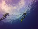 Hawaii Scuba divng 34