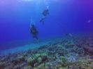 Hawaii Scuba divng 38