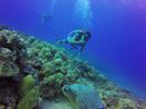 Hawaii Scuba divng 40