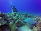 Hawaii Scuba divng 41