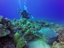 Hawaii Scuba divng 42