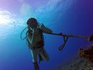 Hawaii Scuba divng 44