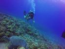 Hawaii Scuba divng 46