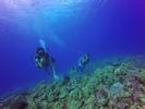 Hawaii Scuba divng 48