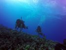 Hawaii Scuba divng 49