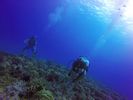 Hawaii Scuba divng 51