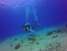 Hawaii Scuba divng 51