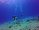 Hawaii Scuba divng 52