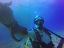 Hawaii Scuba divng 56