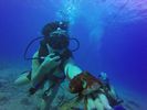 Hawaii Scuba divng 59