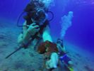 Hawaii Scuba divng 60