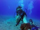 Hawaii Scuba divng 61