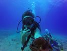 Hawaii Scuba divng 62