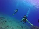 Hawaii Scuba divng 63