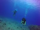 Hawaii Scuba divng 64