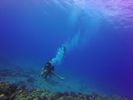 Hawaii Scuba divng 65