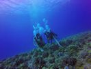 Hawaii Scuba divng 68