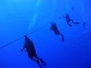 Hawaii Scuba divng 10