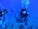 Hawaii Scuba divng 30