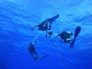 Hawaii Scuba divng 33