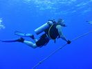 Hawaii Scuba divng 34