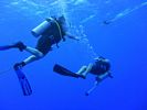 Hawaii Scuba divng 35