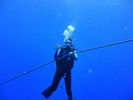 Hawaii Scuba divng 36