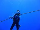 Hawaii Scuba divng 37