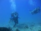 Hawaii Scuba divng 40