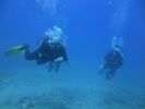 Hawaii Scuba divng 43