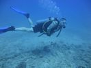 Hawaii Scuba divng 45