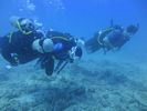 Hawaii Scuba divng 47