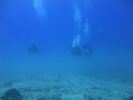 Hawaii Scuba divng 49