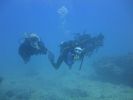 Hawaii Scuba divng 59