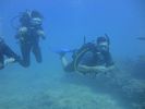 Hawaii Scuba divng 60