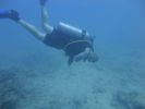 Hawaii Scuba divng 63