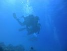 Hawaii Scuba divng 65