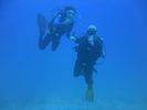 Hawaii Scuba divng 70