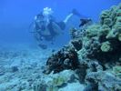 Hawaii Scuba divng 71