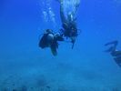 Hawaii Scuba divng 73