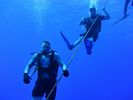 Hawaii Scuba divng 08