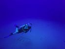 Hawaii Scuba divng 93