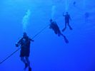 Hawaii Scuba divng 09