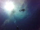 Hawaii Scuba divng 13