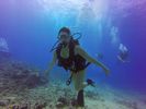 Hawaii Scuba divng 14