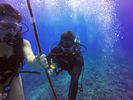 Hawaii Scuba divng 17