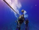 Hawaii Scuba divng 19